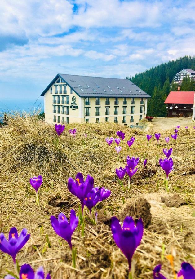 Montis Hotel & Spa ムンテレ・ミク エクステリア 写真